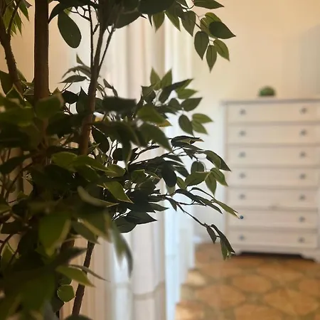 Al Centro - Locazione Turistica Apartment